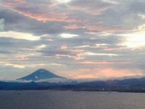 IMG_7873