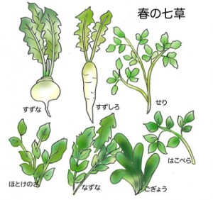 6f0a4631s